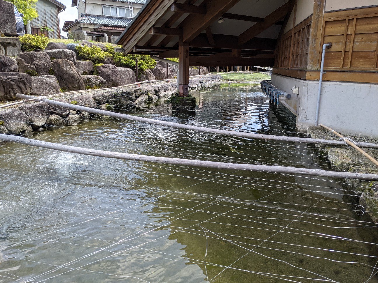 f:id:ranchou:20260111162006j:image