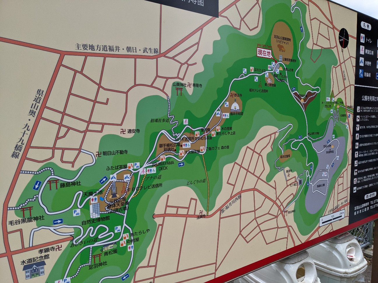 f:id:ranchou:20260111162713j:image