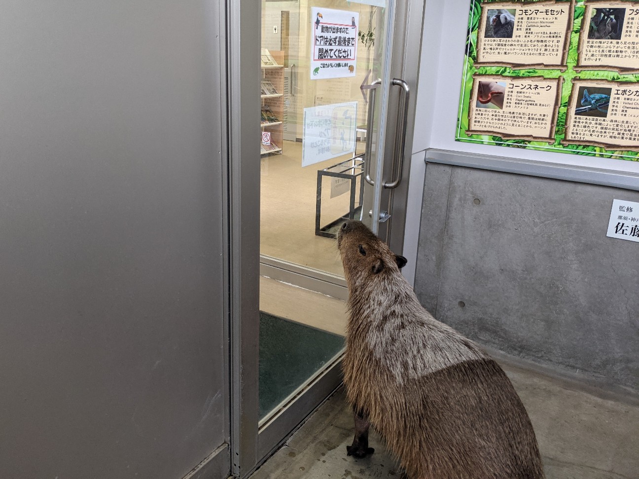 f:id:ranchou:20260111162857j:image