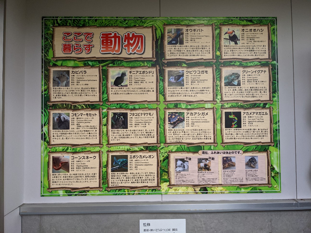 f:id:ranchou:20260111162908j:image