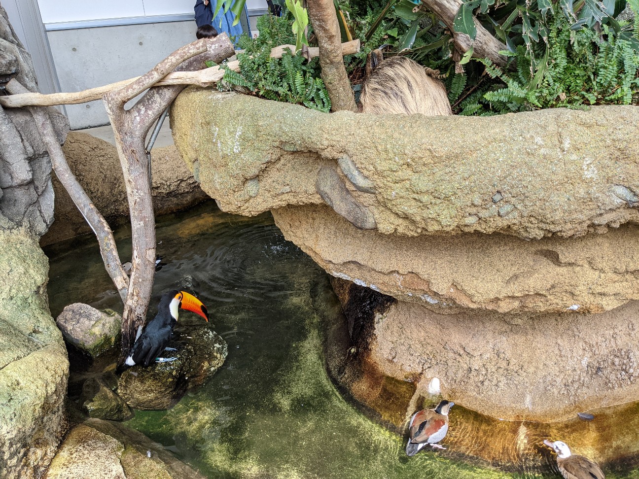 f:id:ranchou:20260111162959j:image