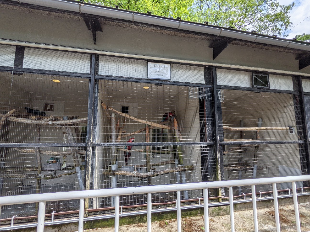 f:id:ranchou:20260111163044j:image