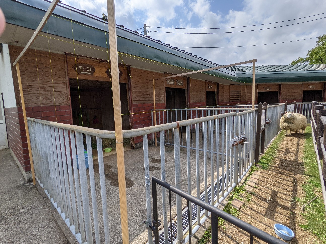 f:id:ranchou:20260111163053j:image