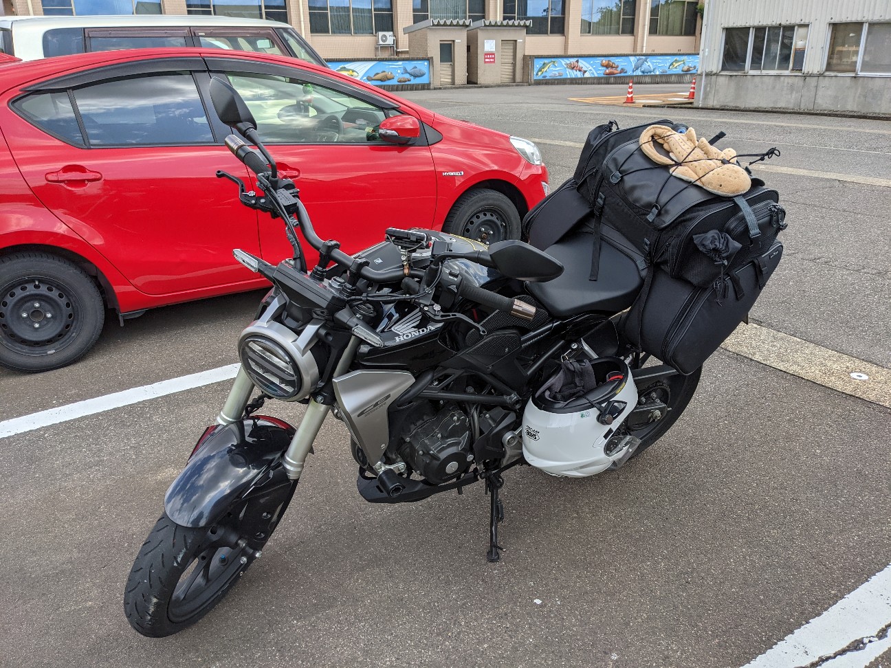 f:id:ranchou:20260111163440j:image