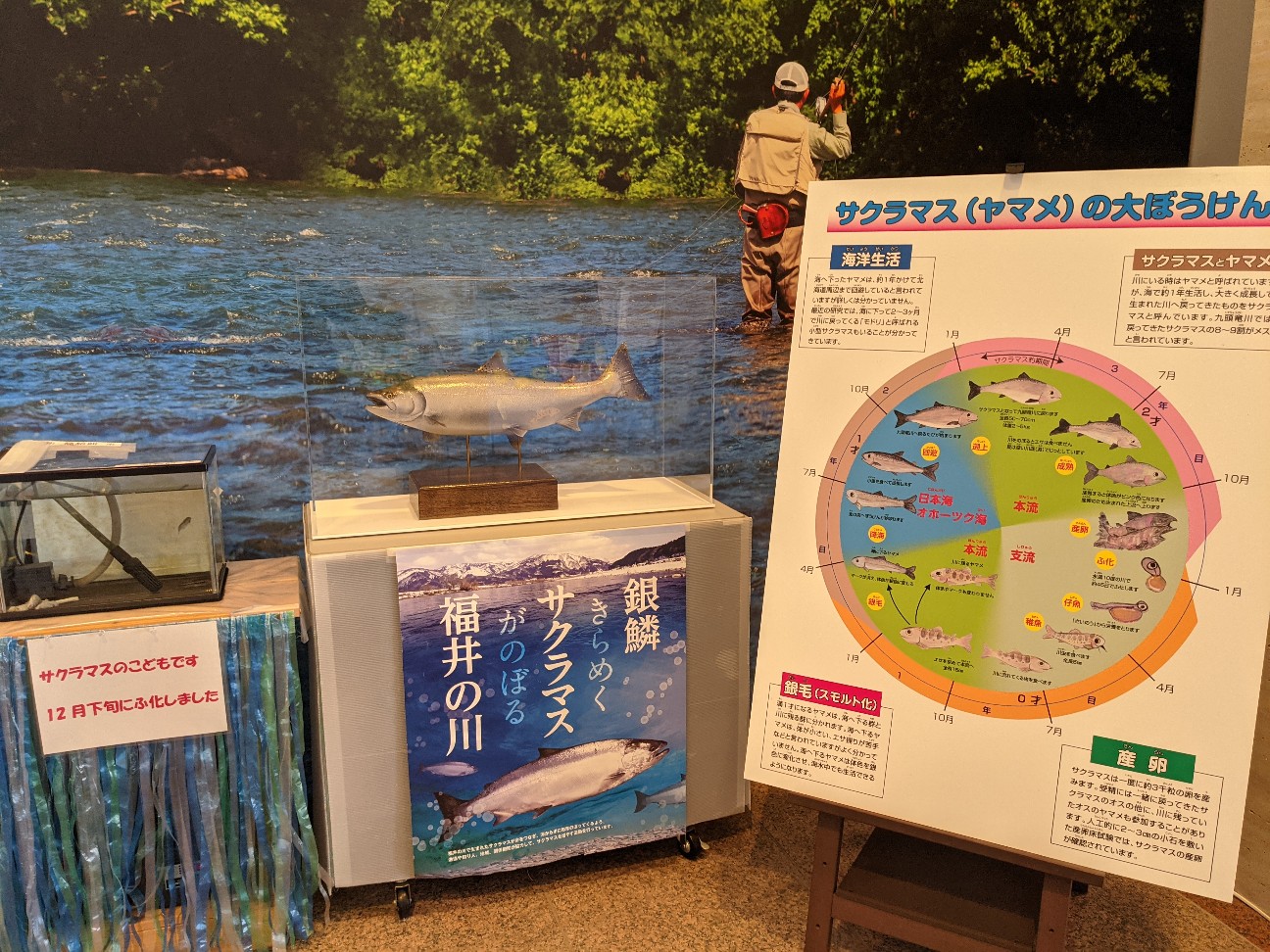 f:id:ranchou:20260111172003j:image