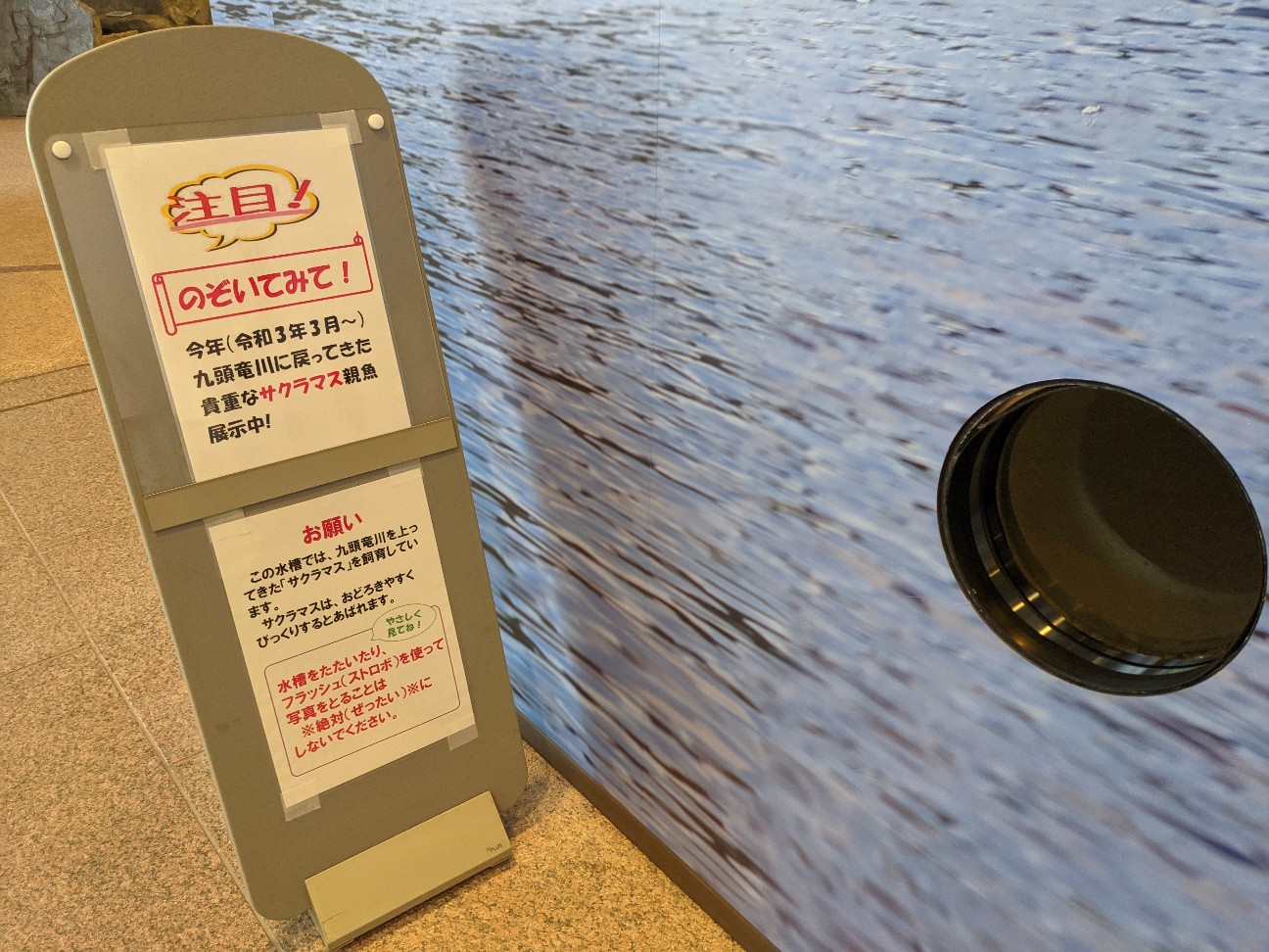 f:id:ranchou:20260111172105j:image