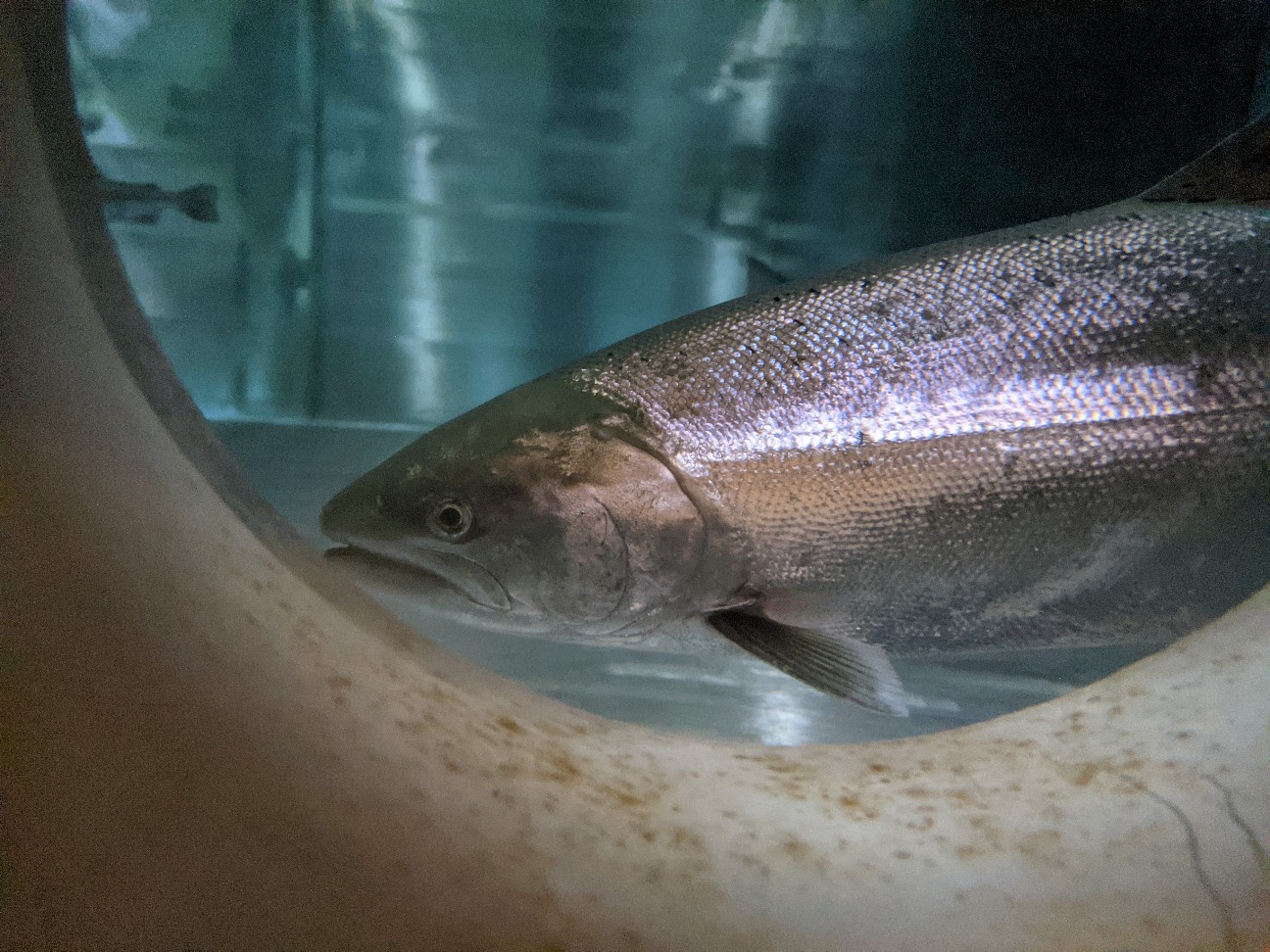 f:id:ranchou:20260111172134j:image