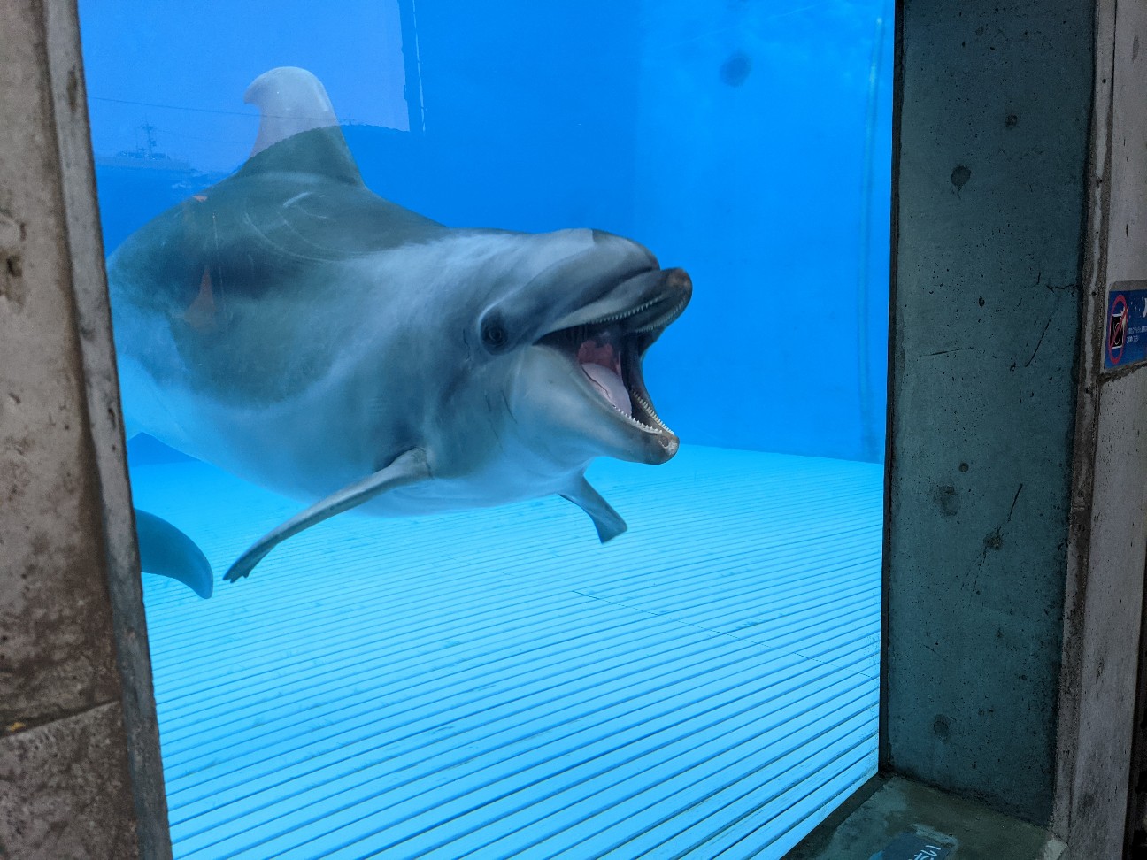 f:id:ranchou:20260111172436j:image