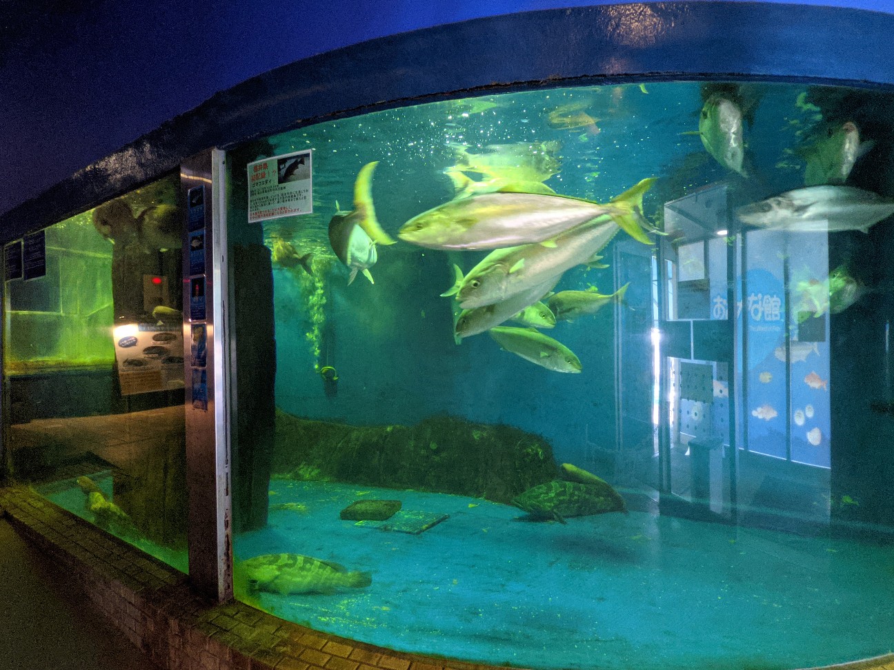 f:id:ranchou:20260119204315j:image