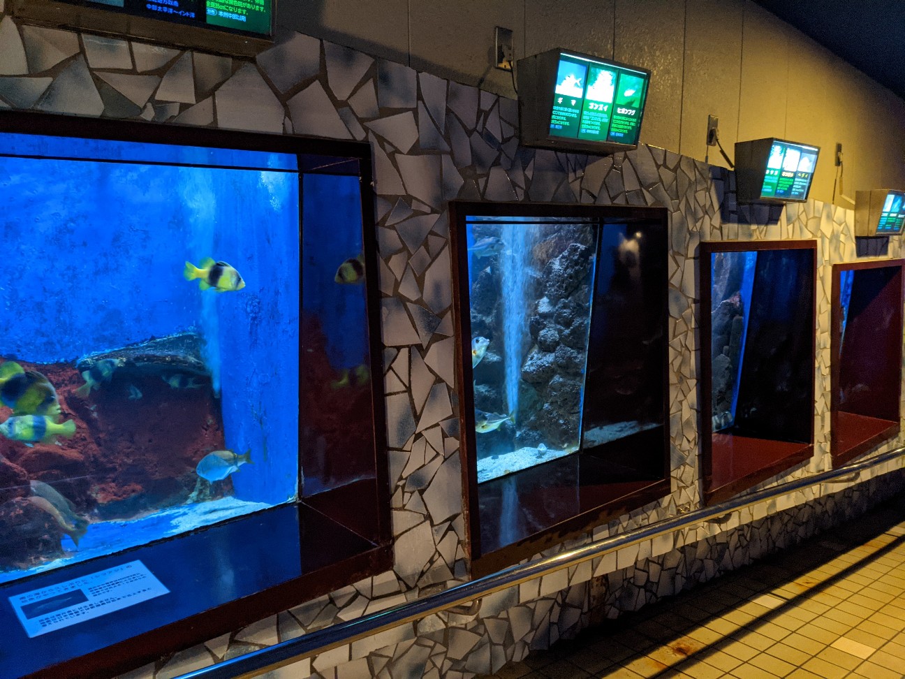 f:id:ranchou:20260119204325j:image