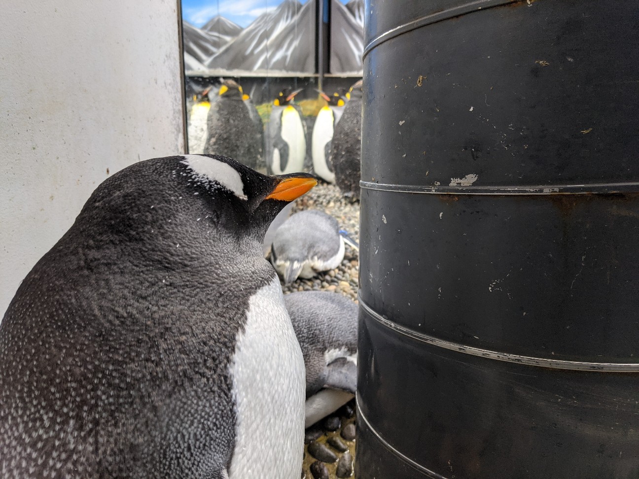 f:id:ranchou:20260119204454j:image