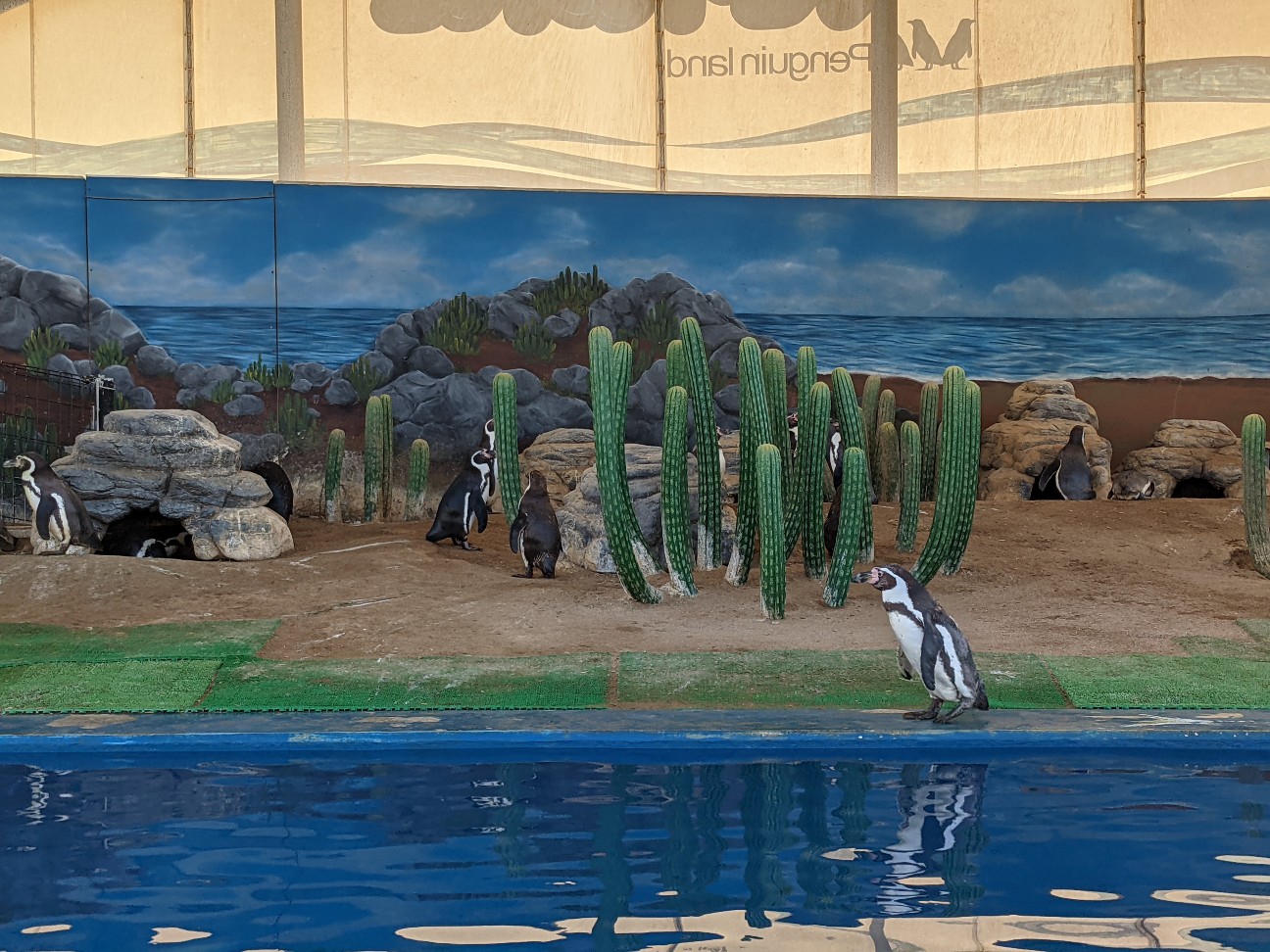 f:id:ranchou:20260119204507j:image