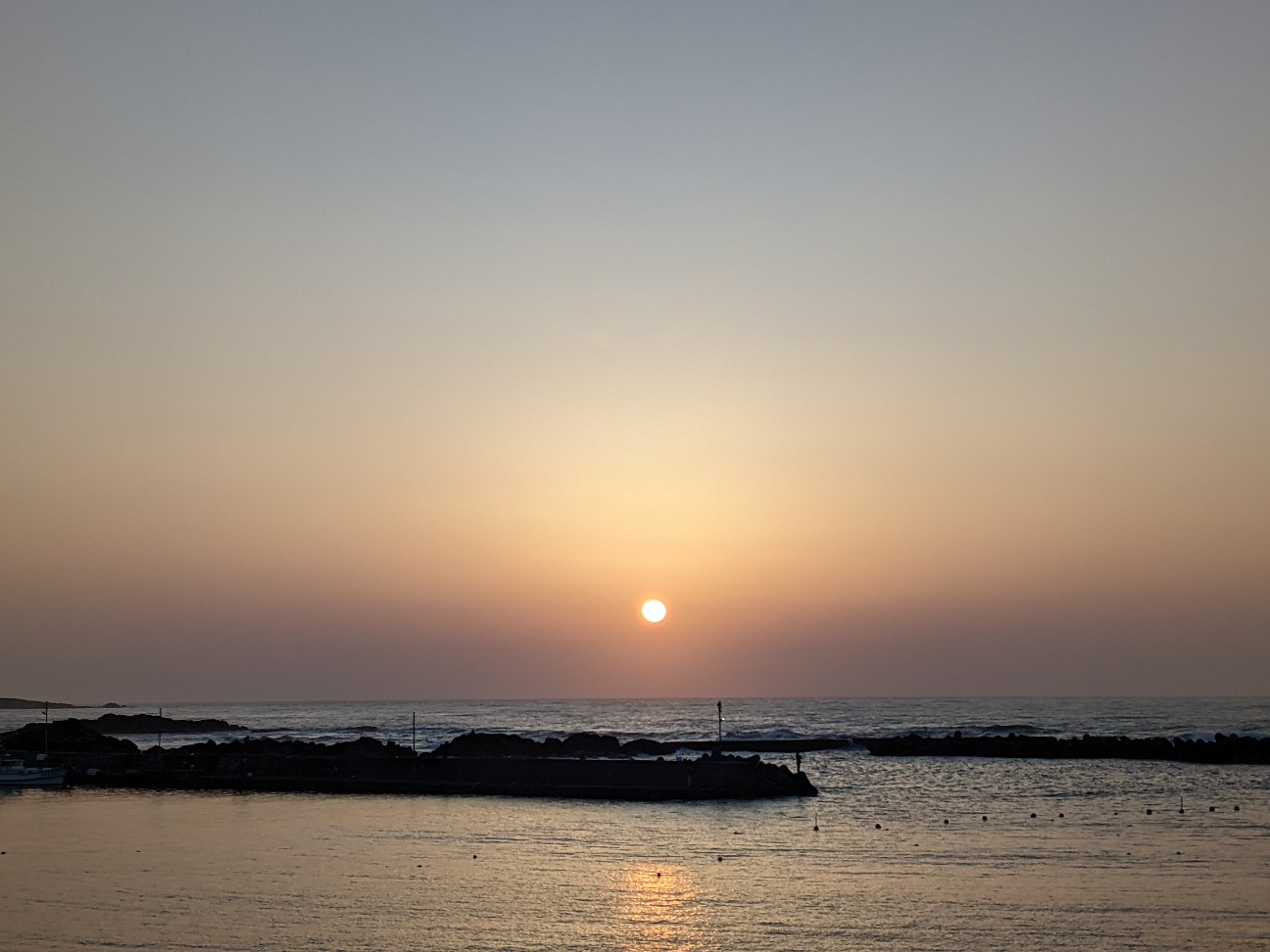 f:id:ranchou:20260119204558j:image