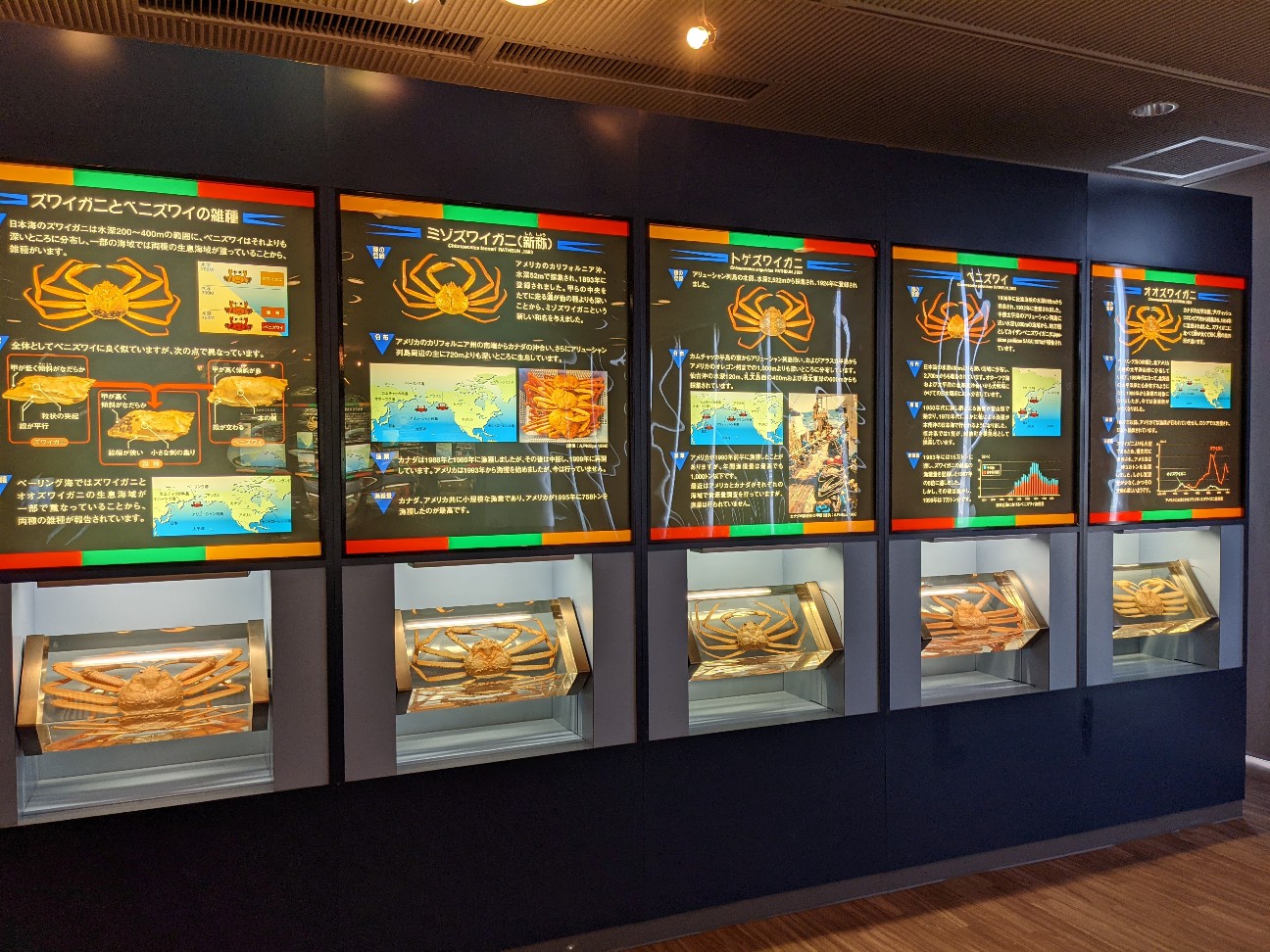 f:id:ranchou:20260120184742j:image