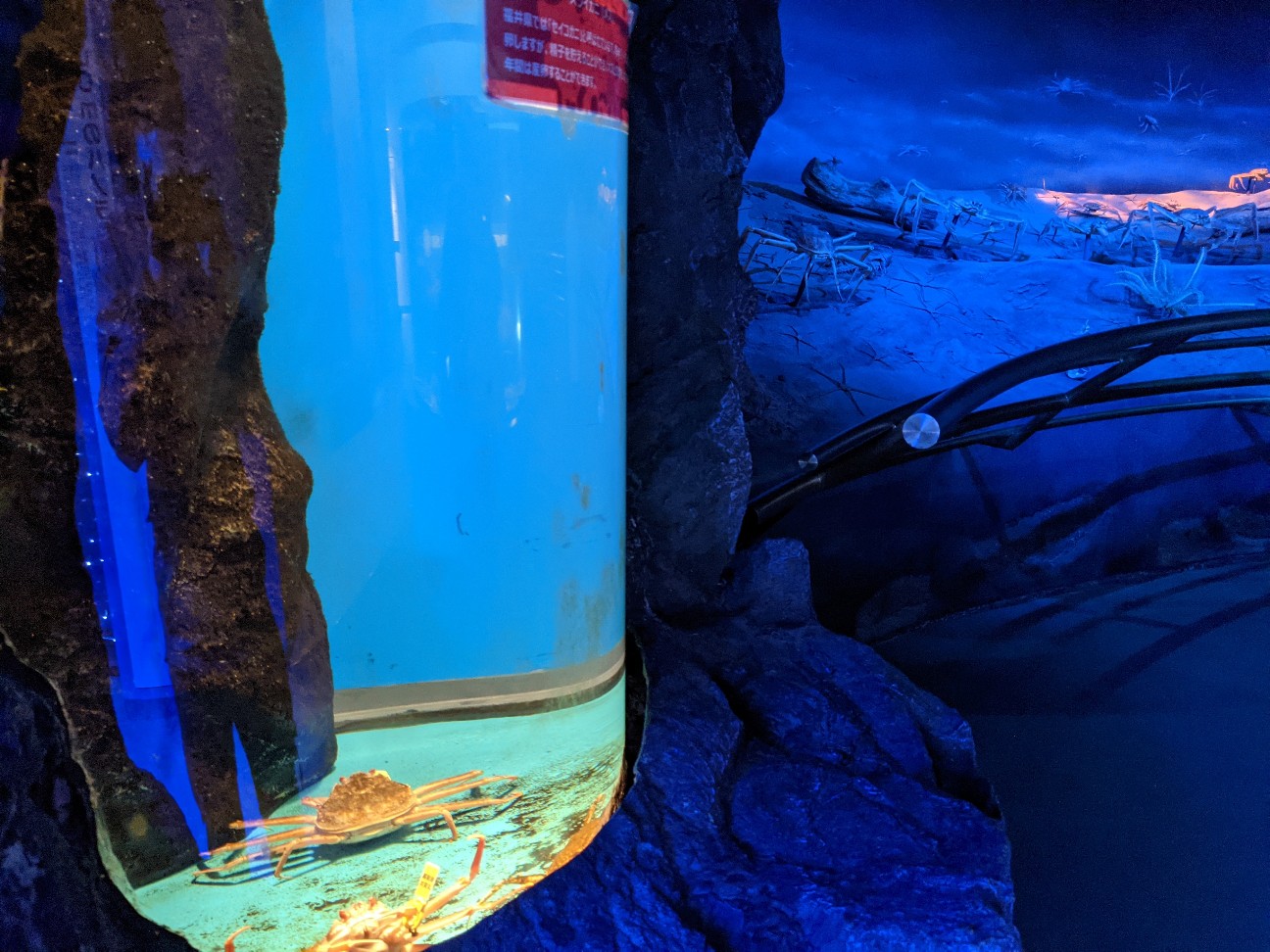 f:id:ranchou:20260120184941j:image