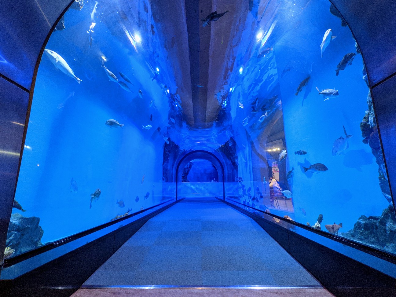 f:id:ranchou:20260120185022j:image