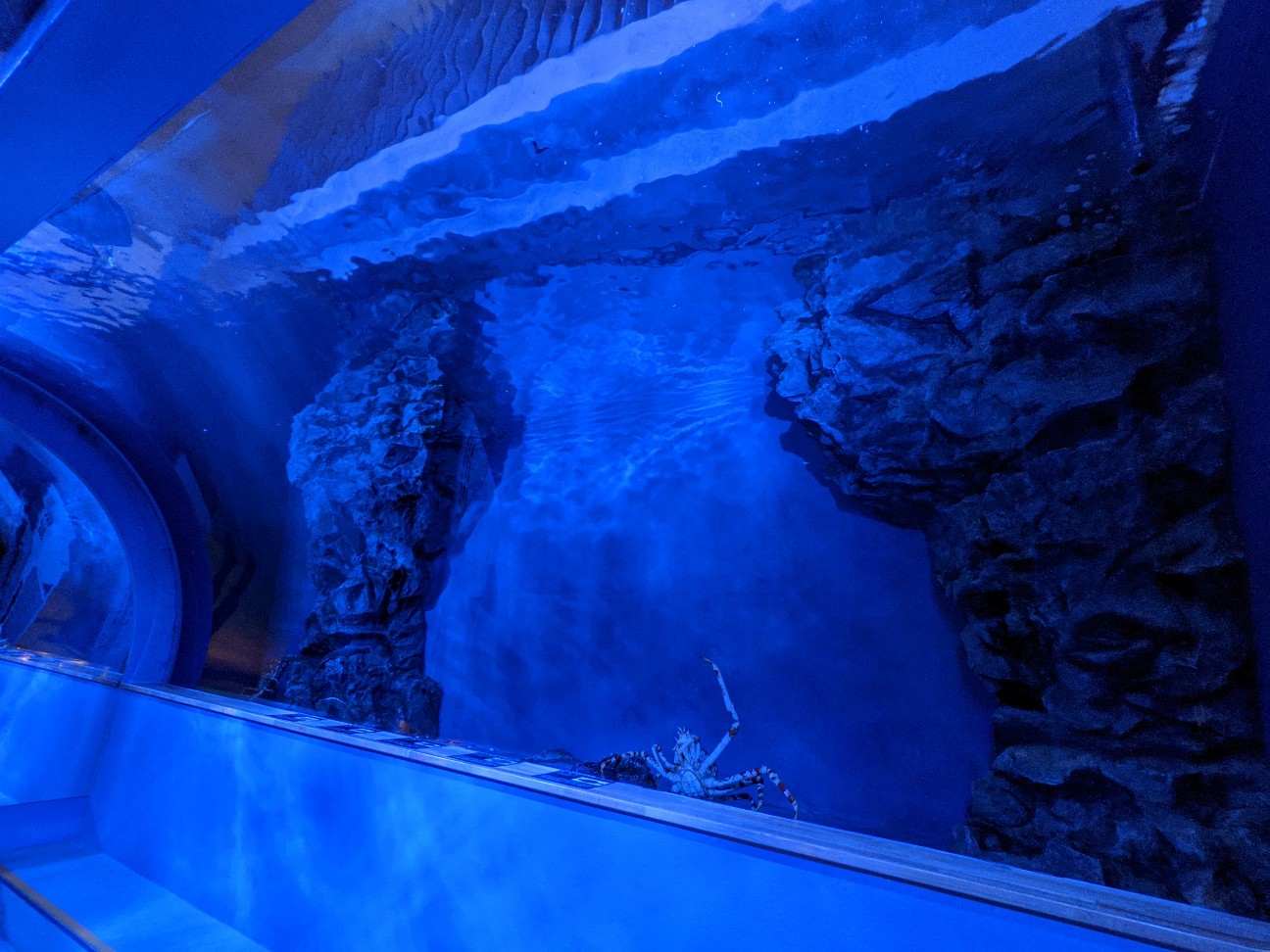 f:id:ranchou:20260120185039j:image