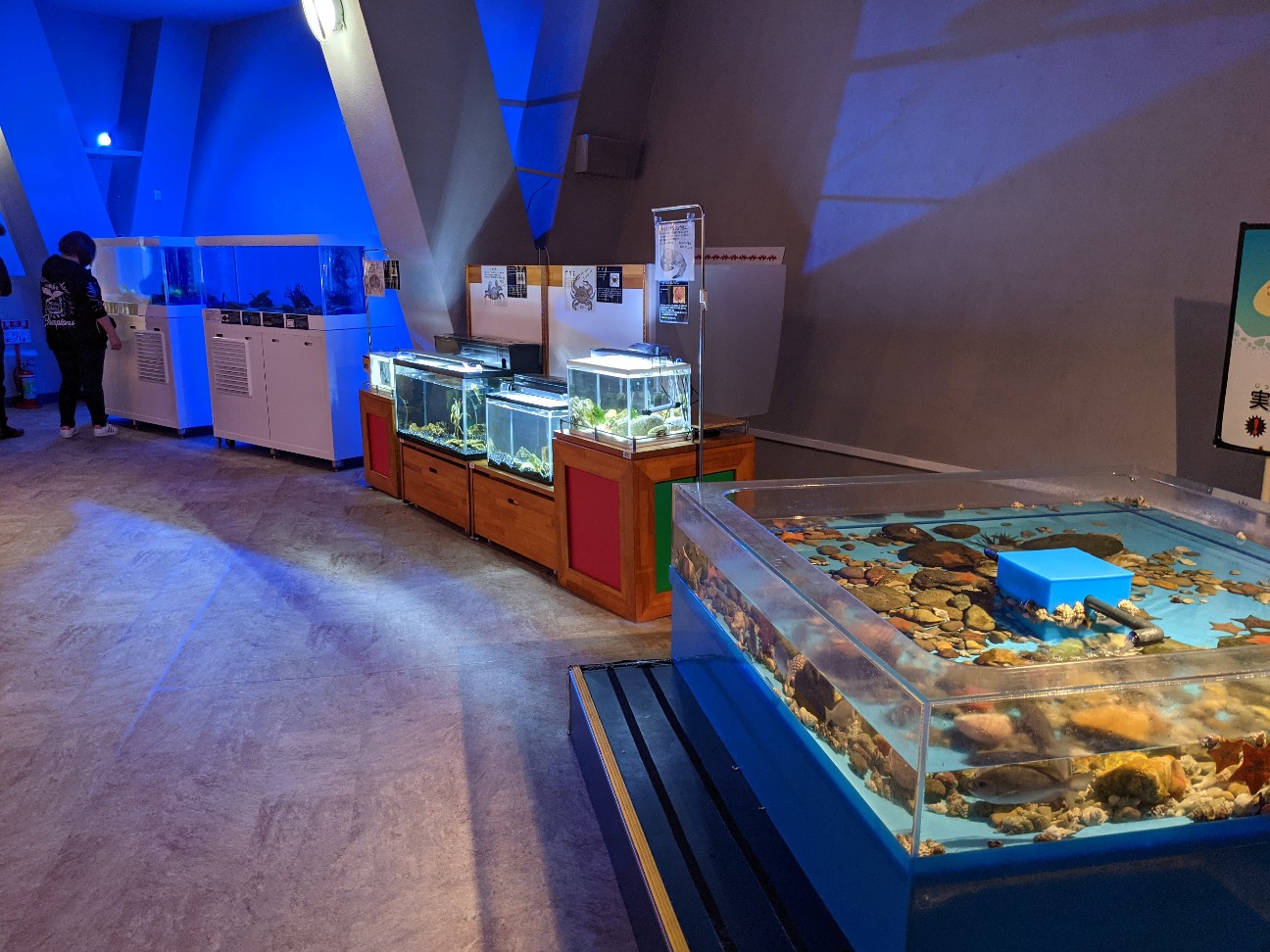 f:id:ranchou:20260120185056j:image