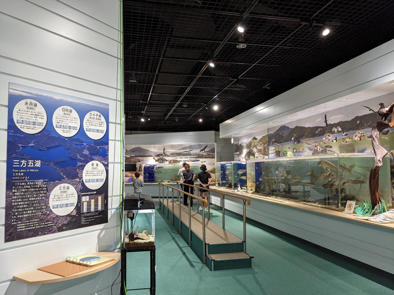 f:id:ranchou:20260121205650j:image