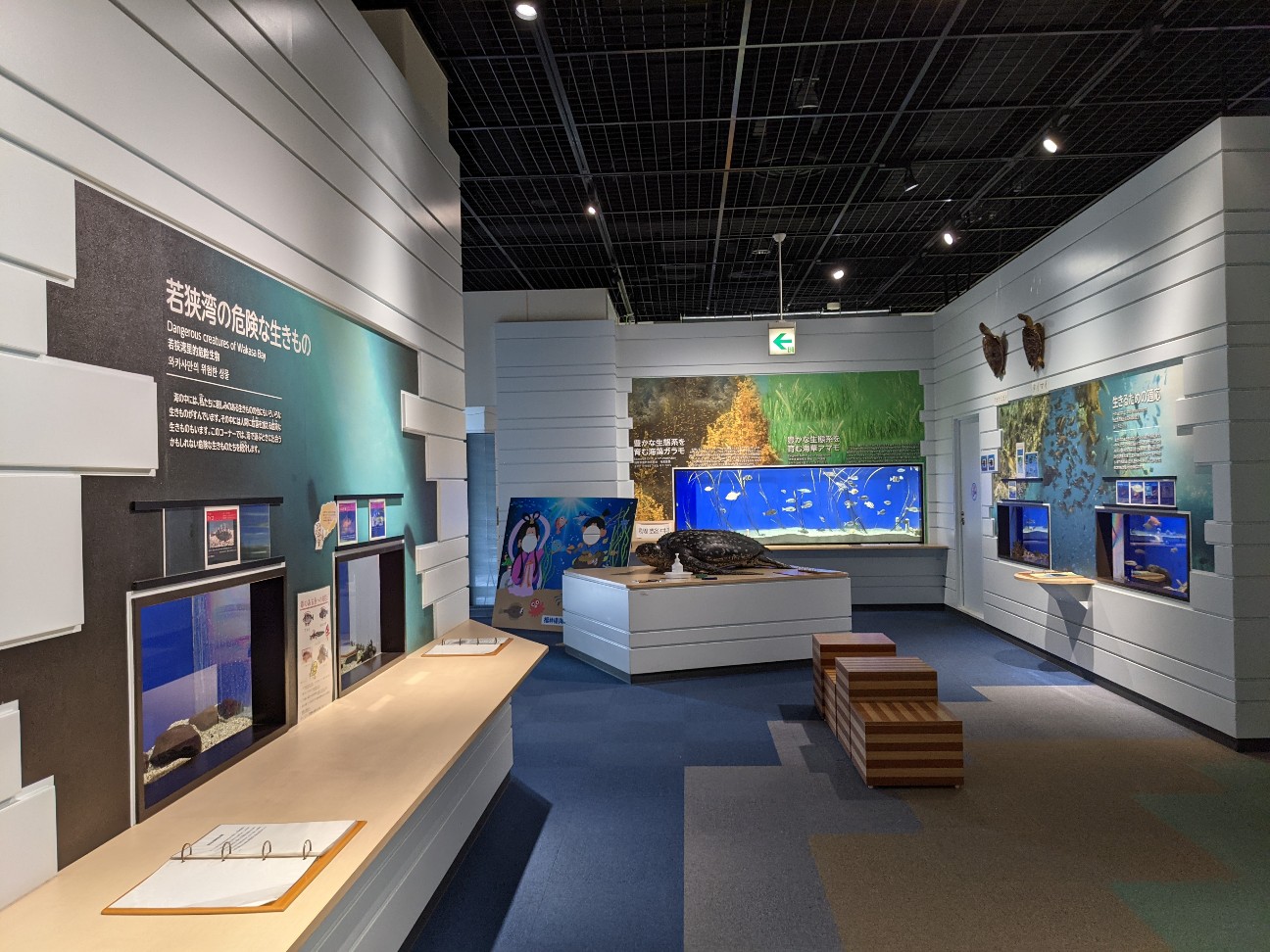 f:id:ranchou:20260121205711j:image