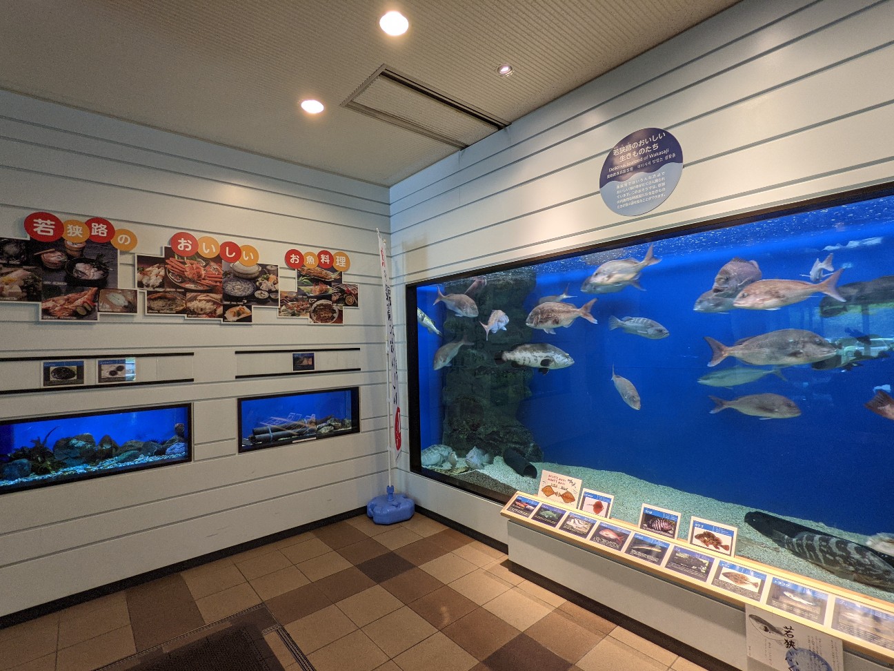 f:id:ranchou:20260121205823j:image