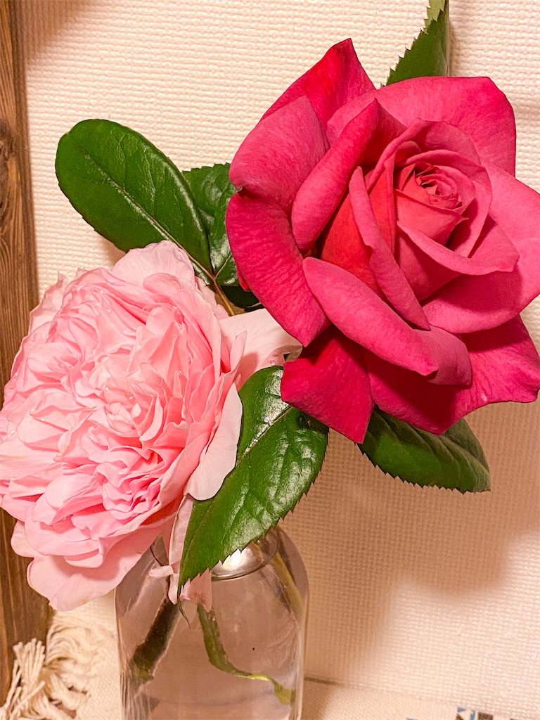 f:id:rancraw:20200612170310j:image f:id:rancraw:20200612170310j:image