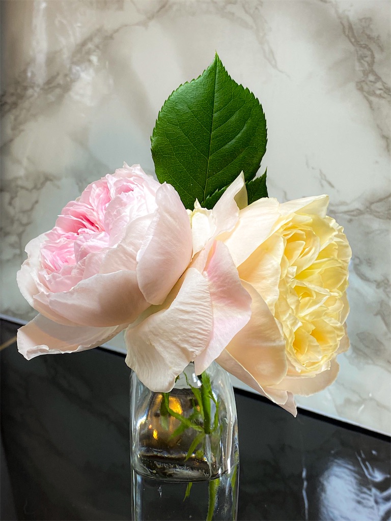 f:id:rancraw:20200630163620j:image