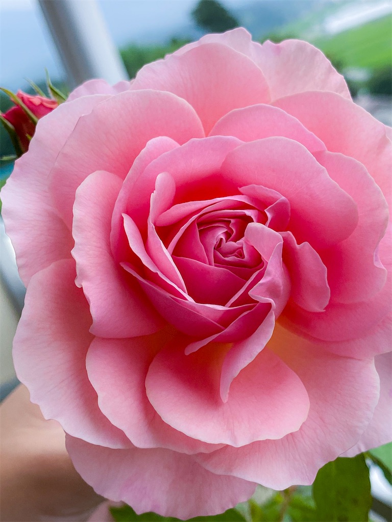 f:id:rancraw:20200811125707j:image