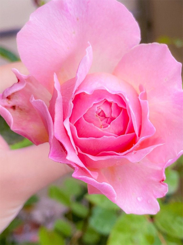 f:id:rancraw:20200811125728j:image