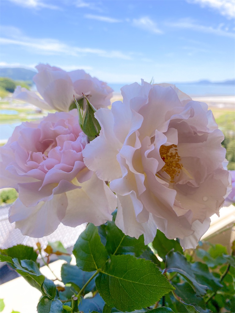 f:id:rancraw:20210605134849j:image f:id:rancraw:20210605134849j:image