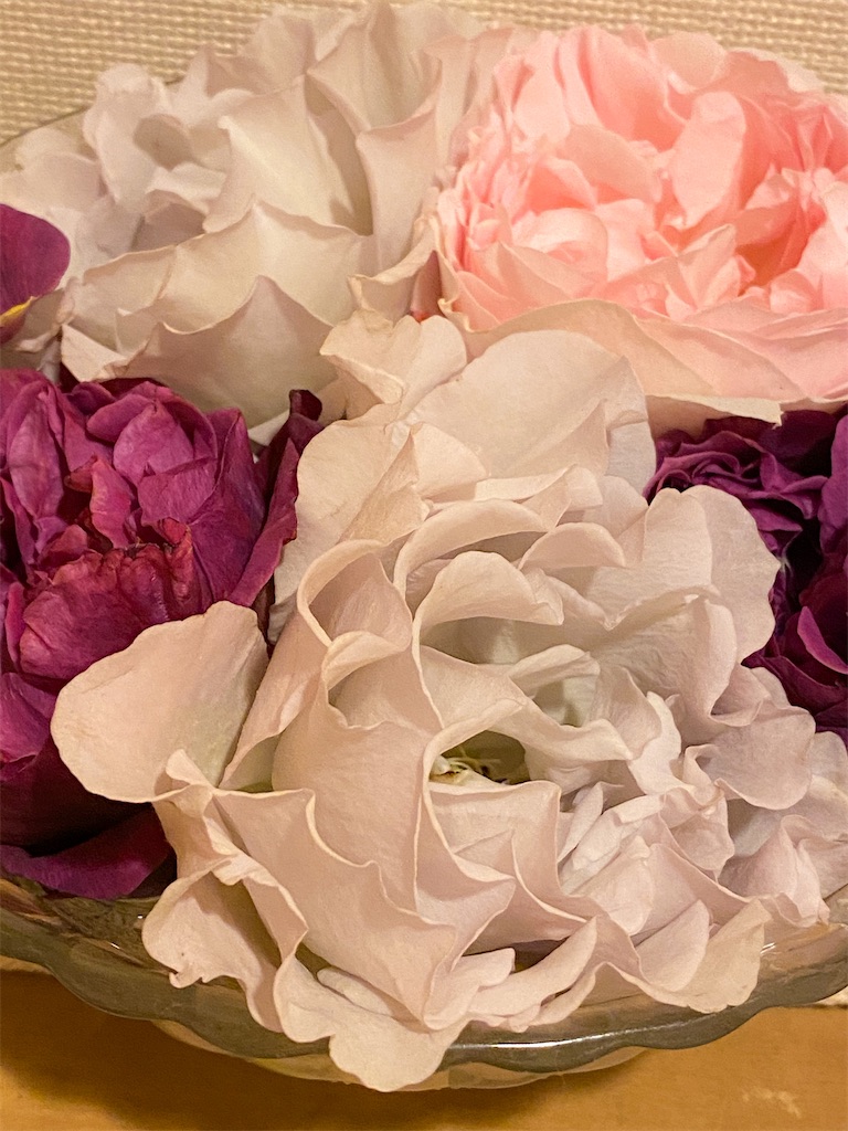 f:id:rancraw:20210606212333j:image f:id:rancraw:20210606212333j:image