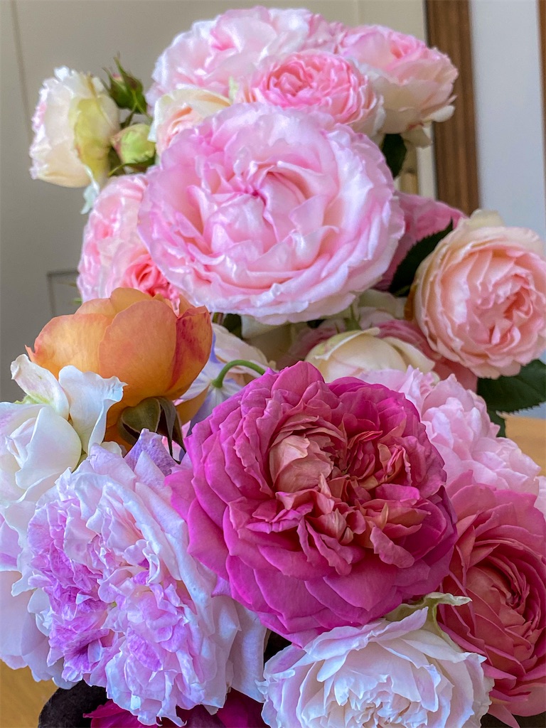 f:id:rancraw:20210615191844j:image f:id:rancraw:20210615191844j:image