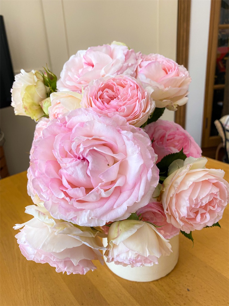 f:id:rancraw:20210616125035j:image f:id:rancraw:20210616125035j:image