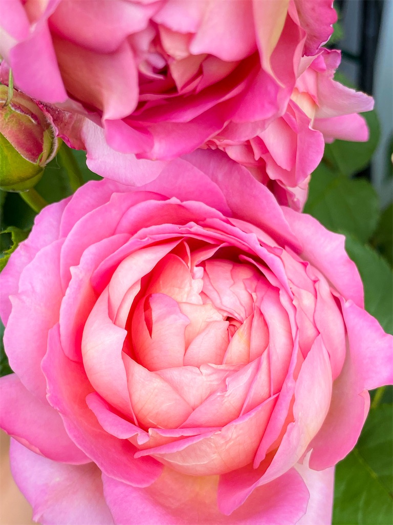 f:id:rancraw:20210616125539j:image f:id:rancraw:20210616125539j:image