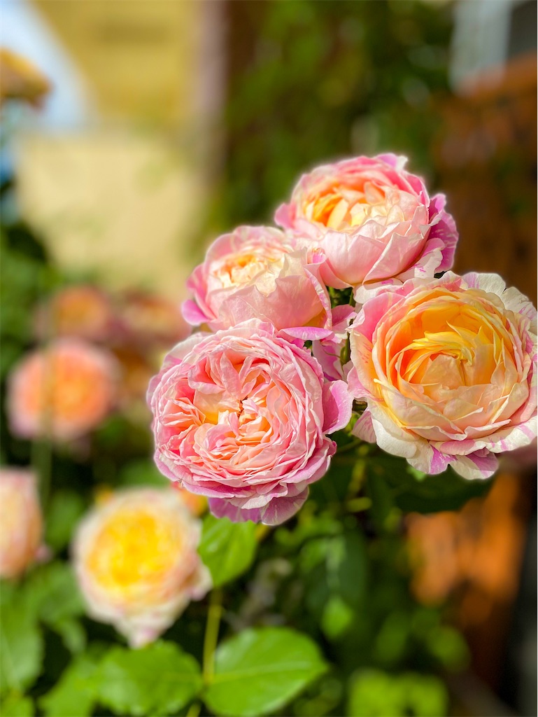 f:id:rancraw:20210624214554j:image f:id:rancraw:20210624214554j:image