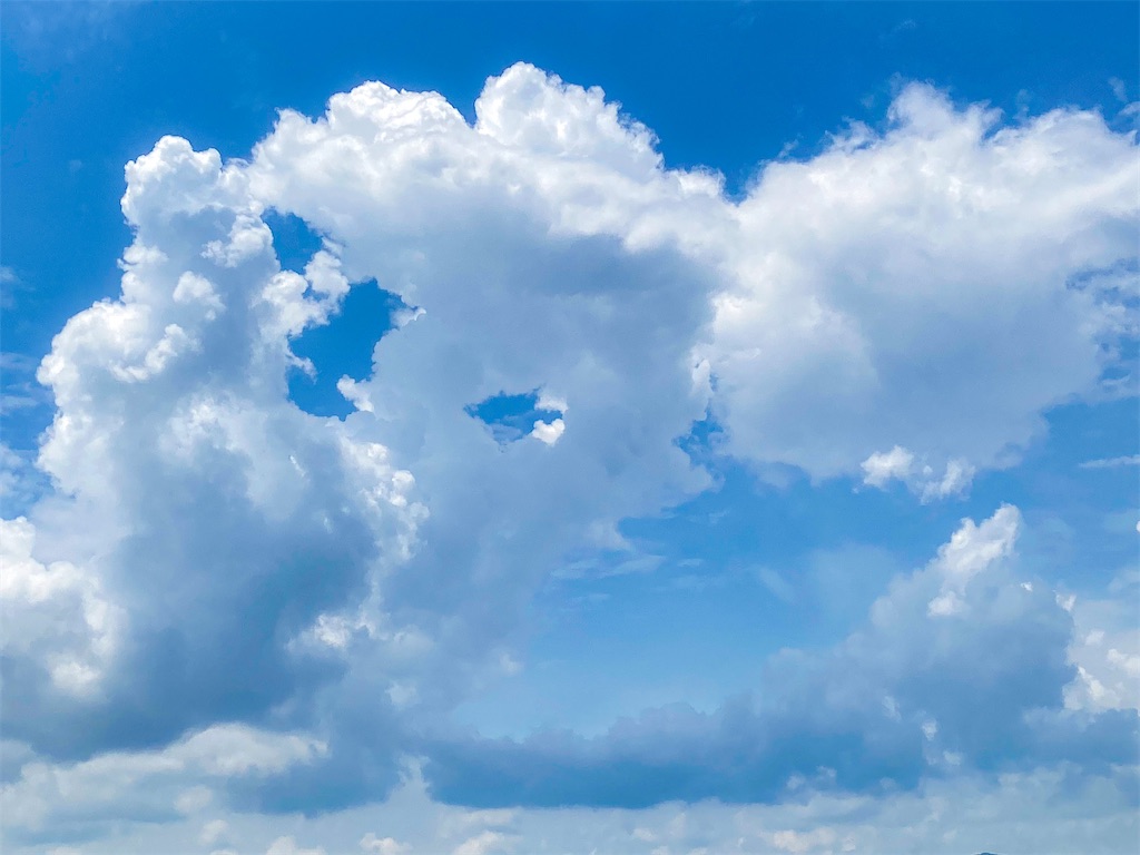 f:id:rancraw:20210706122508j:image f:id:rancraw:20210706122508j:image