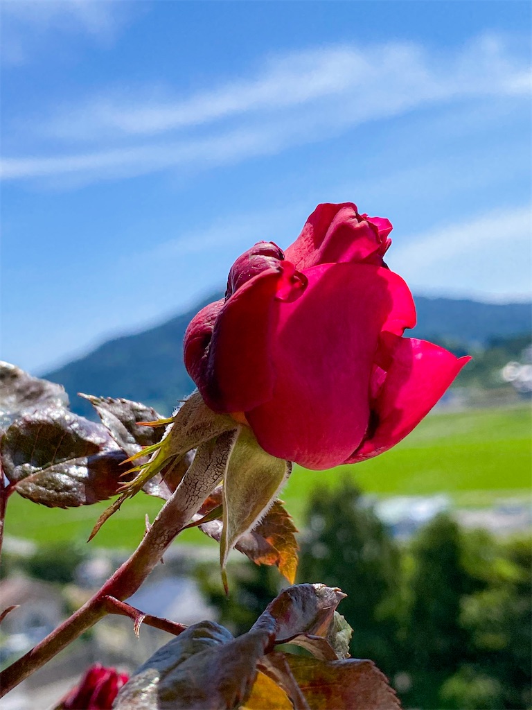 f:id:rancraw:20210706164201j:image f:id:rancraw:20210706164201j:image