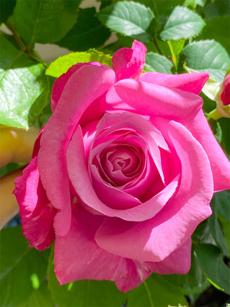 f:id:rancraw:20220611212807j:image f:id:rancraw:20220611212807j:image