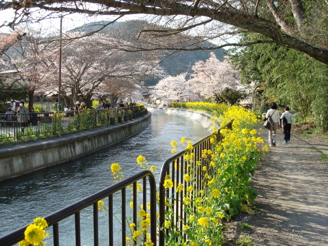 f:id:randompole:20100406230322j:image f:id:randompole:20100406230322j:image