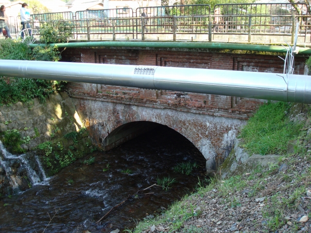 f:id:randompole:20100406230323j:image f:id:randompole:20100406230323j:image