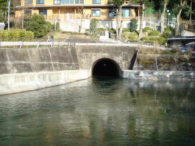 f:id:randompole:20100406230324j:image f:id:randompole:20100406230324j:image