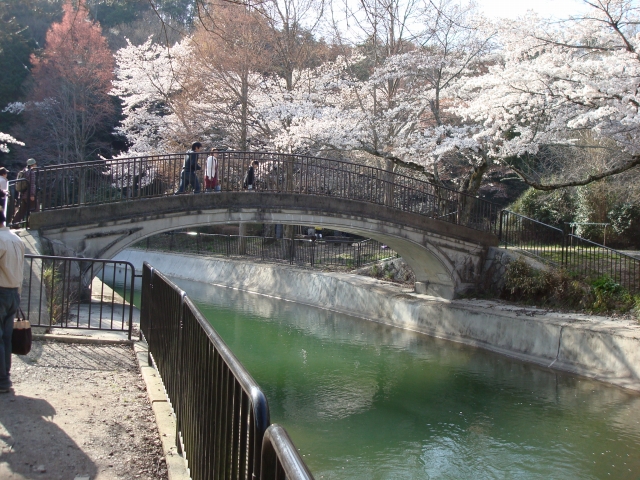 f:id:randompole:20100406232048j:image f:id:randompole:20100406232048j:image