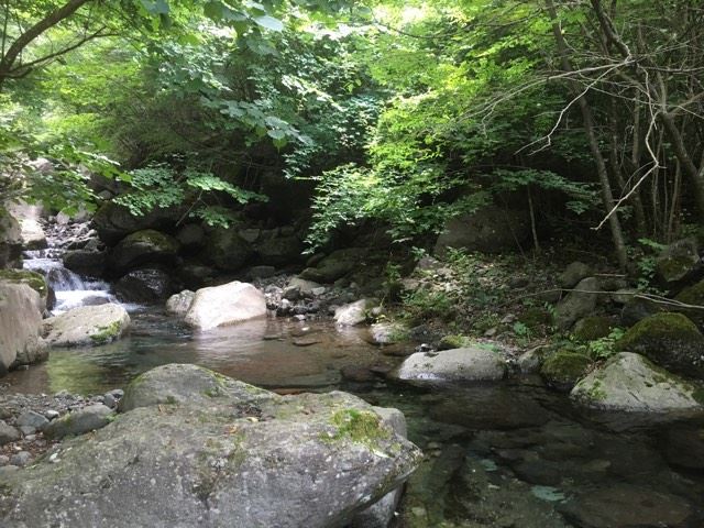 f:id:randomqueen6:20160725174823j:plain