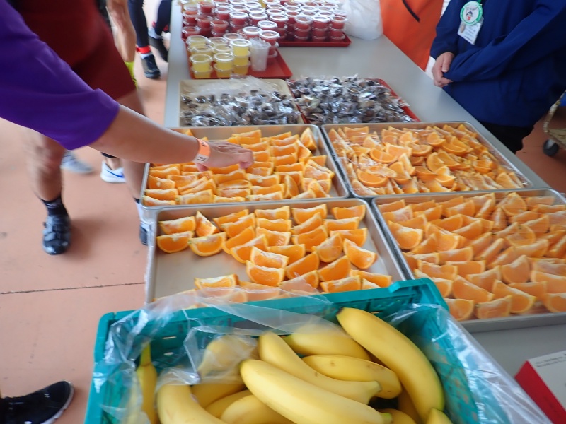 f:id:randonneefield:20210105182555j:plain