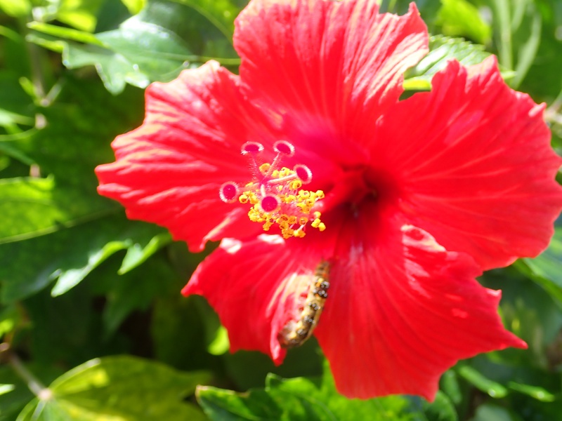 f:id:randonneefield:20210105183227j:plain