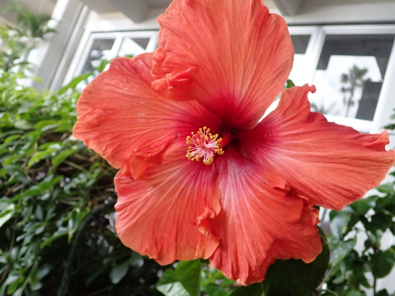 f:id:randonneefield:20210105183412j:plain