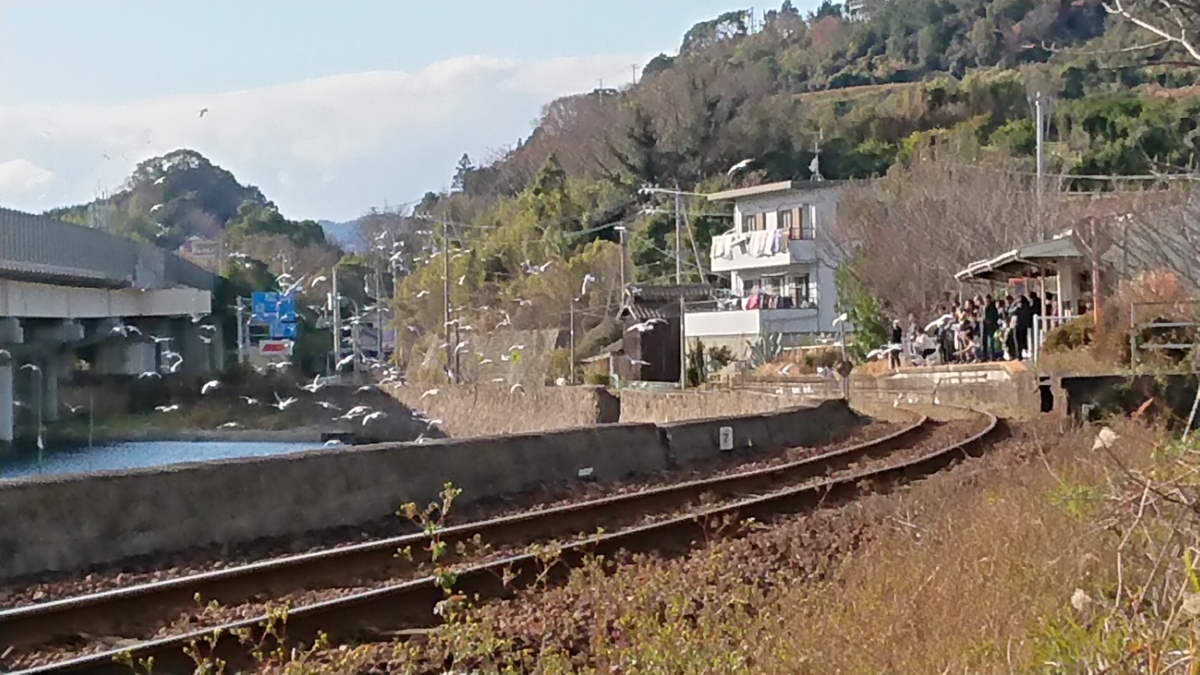 f:id:randonneefield:20210113190940j:plain