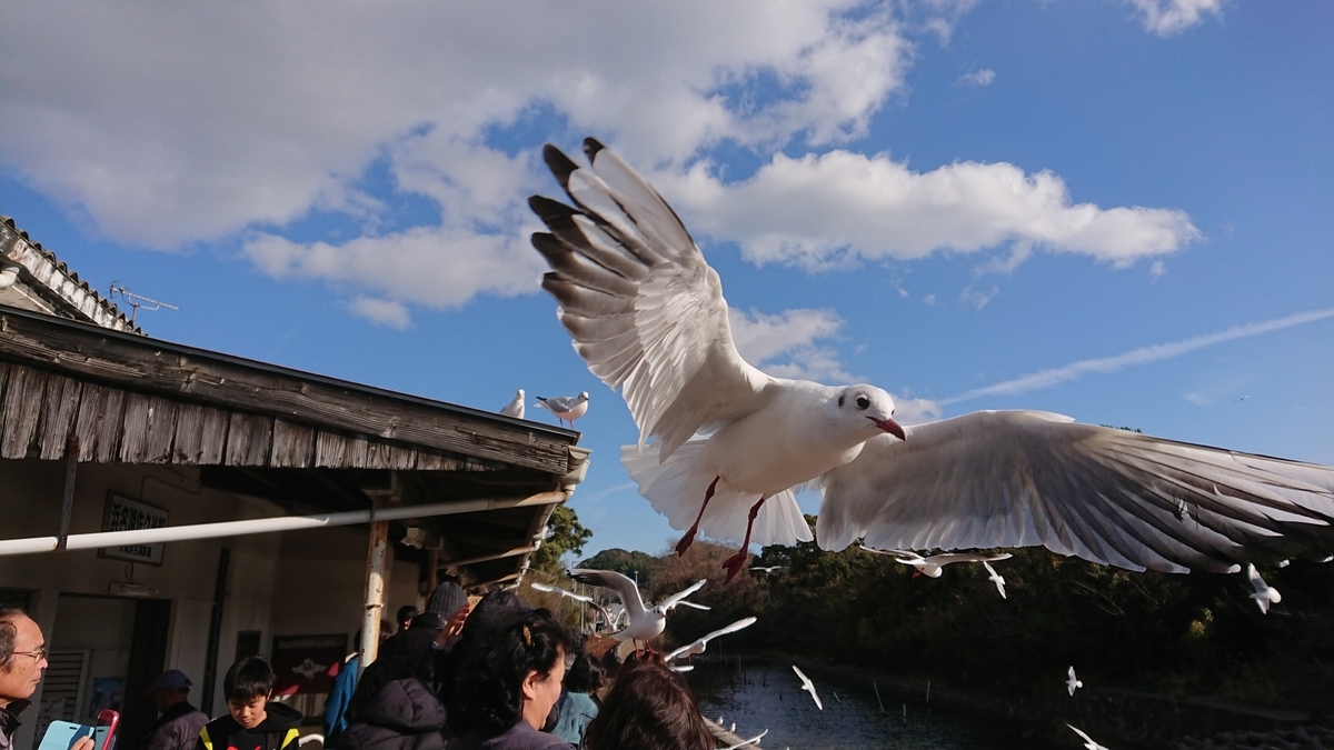 f:id:randonneefield:20210113191152j:plain