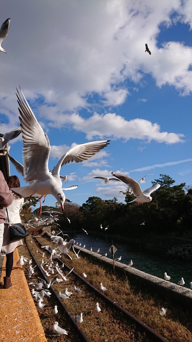 f:id:randonneefield:20210113191301j:plain