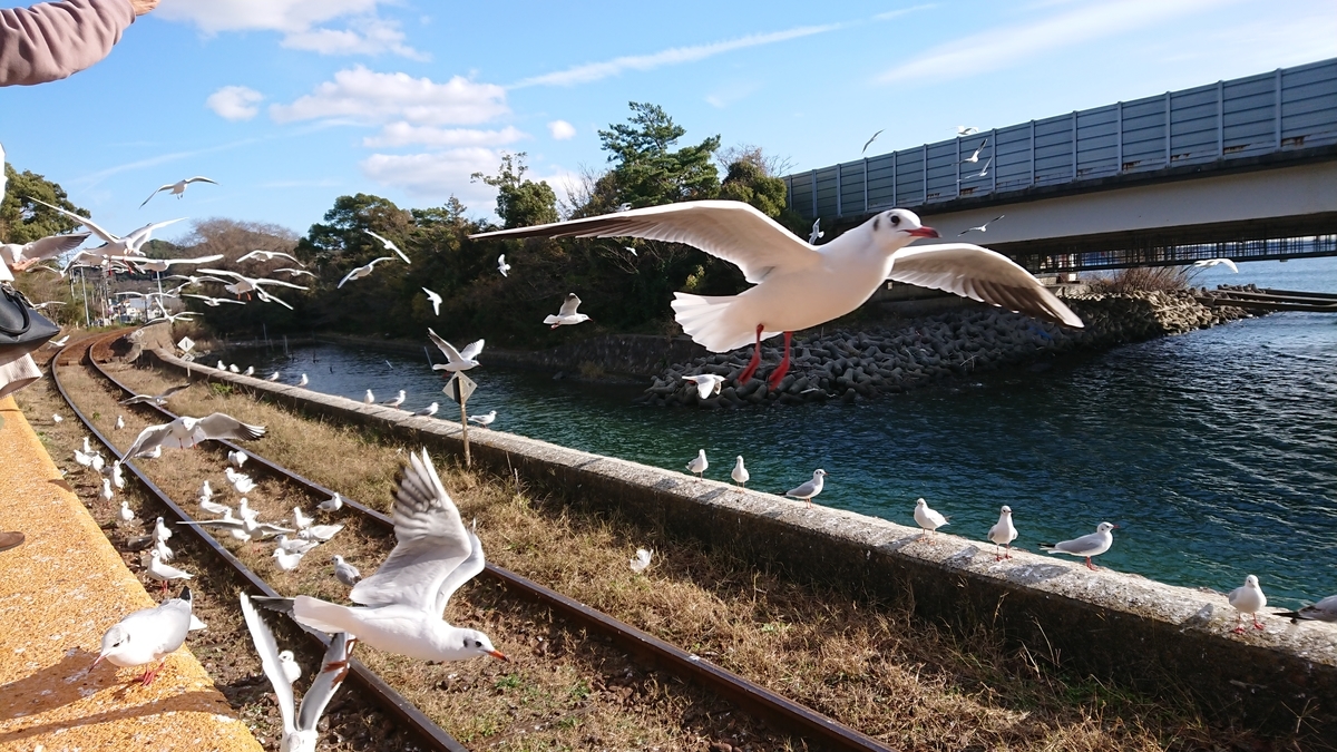 f:id:randonneefield:20210113191420j:plain